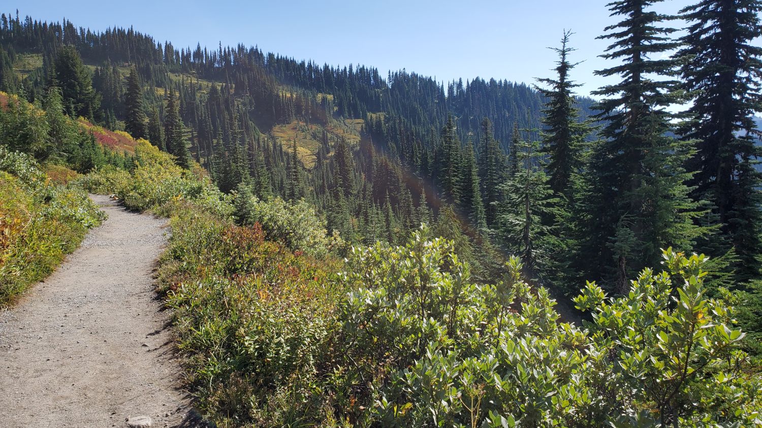 Mount Rainier NP 